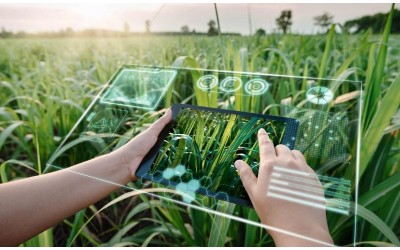 Xu Hướng Công Nghệ Xanh – Giải Pháp Cho Tương Lai Bền Vững