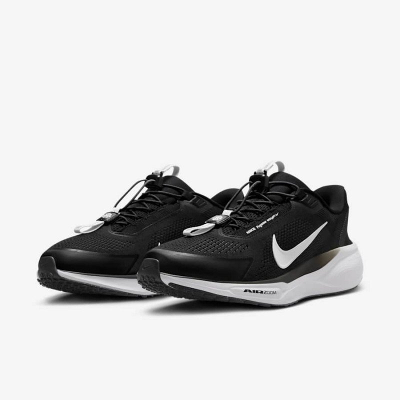 Giày Nike Pegasus 41 Easyon Nam - Đen Trắng