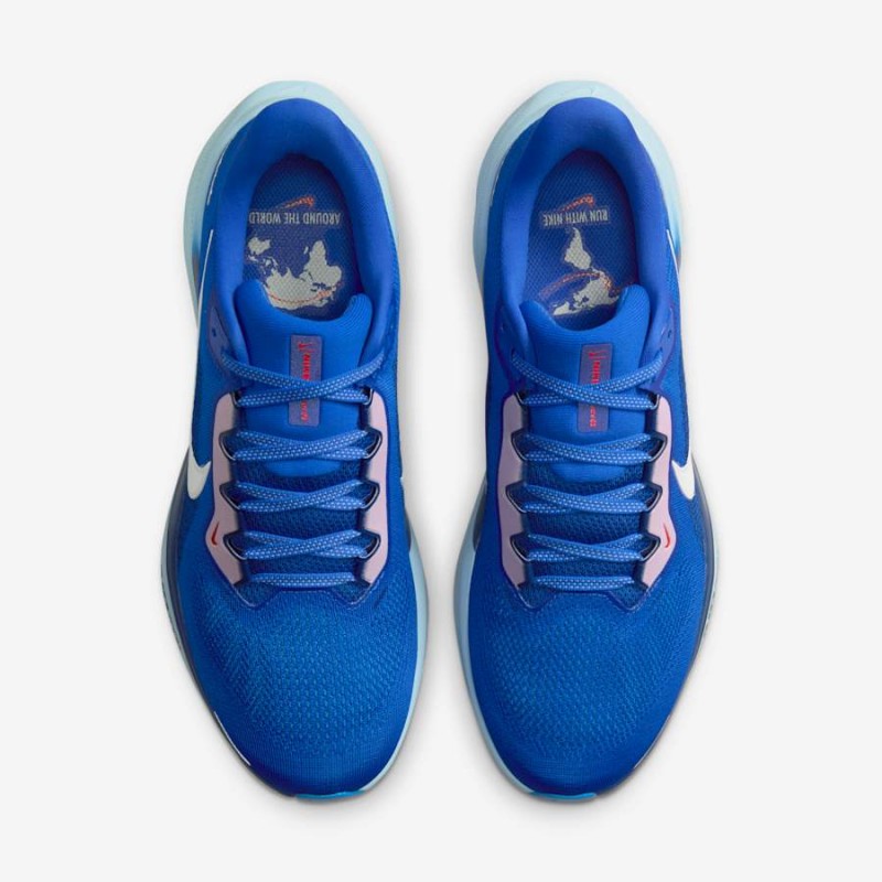 Giày Nike Pegasus 41 Nam - Xanh Lam
