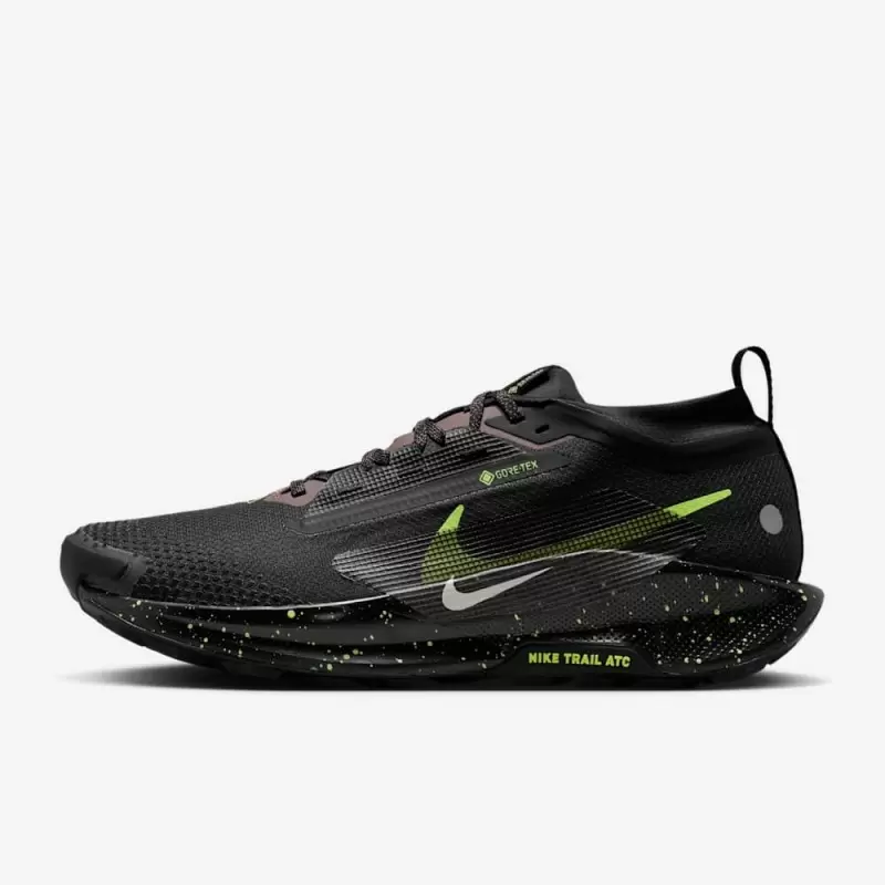 Giày Nike Pegasus Trail 5 GORE-TEX Nam - Đen Xanh