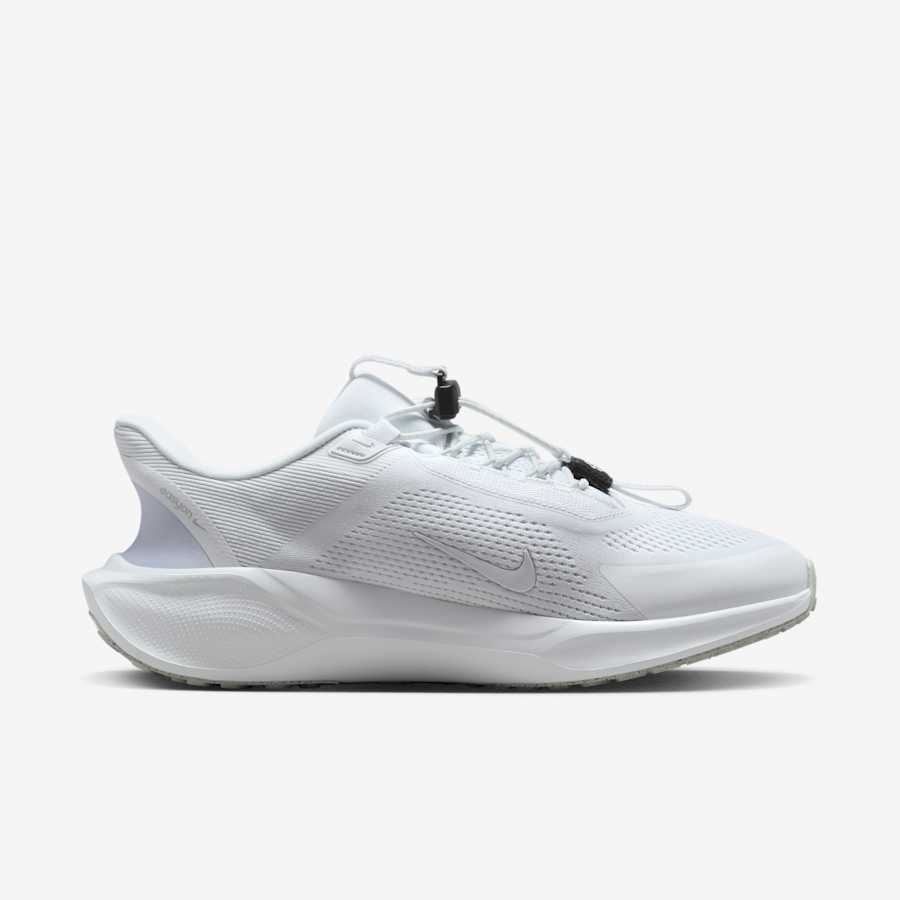 Giày Nike Pegasus 41 Nam - Xám Xanh - hình 2