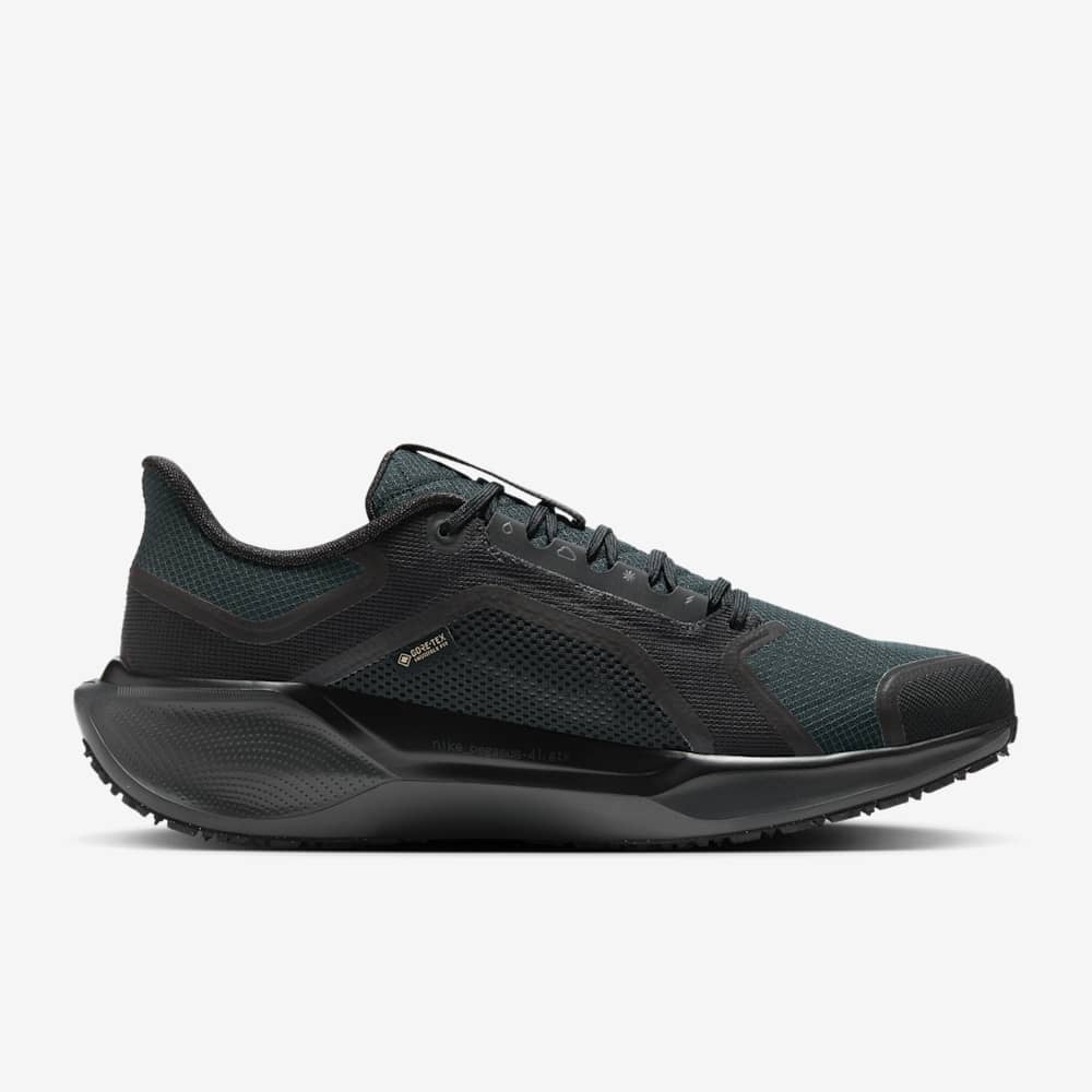 Giày Nike Pegasus 41 GORE-TEX Nam - Đen Đen - hình 2