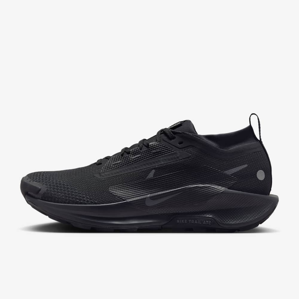 Giày Nike Pegasus Trail 5 GORE-TEX Nam - Đen
