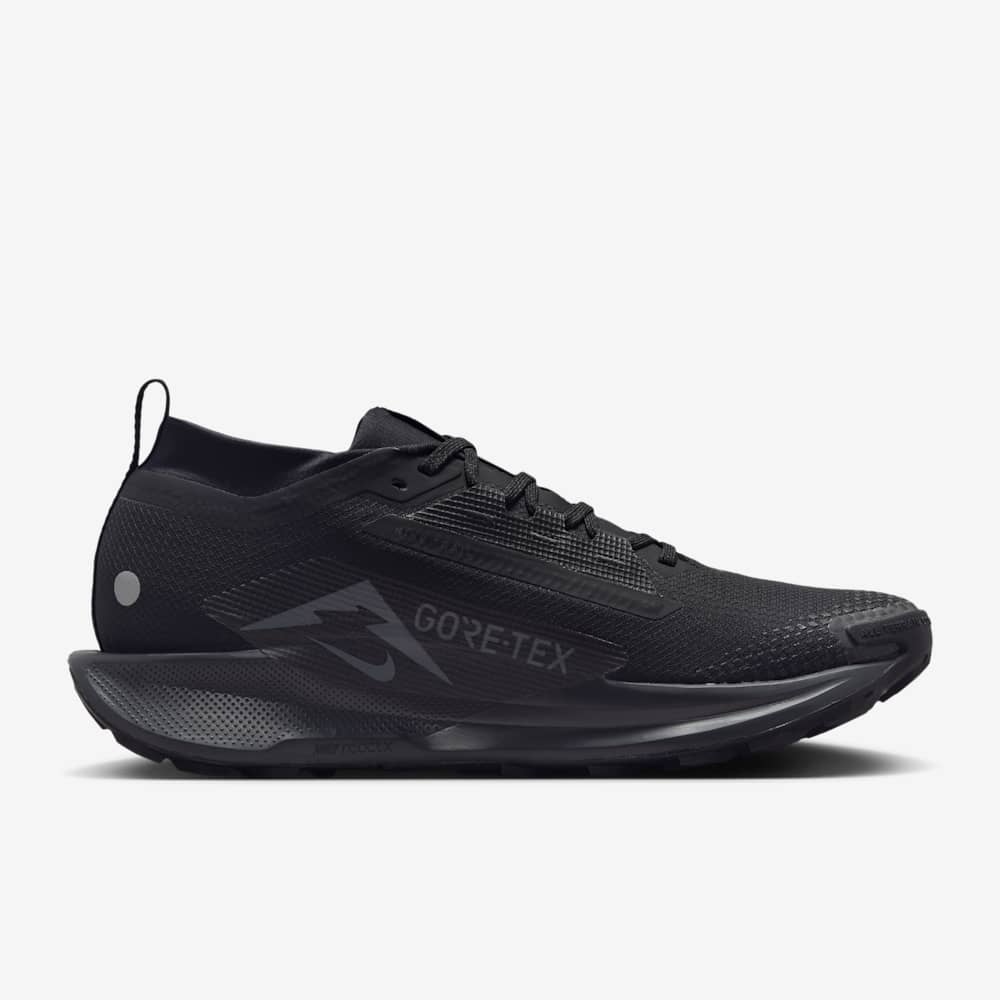 Giày Nike Pegasus Trail 5 GORE-TEX Nam - Đen - hình 2