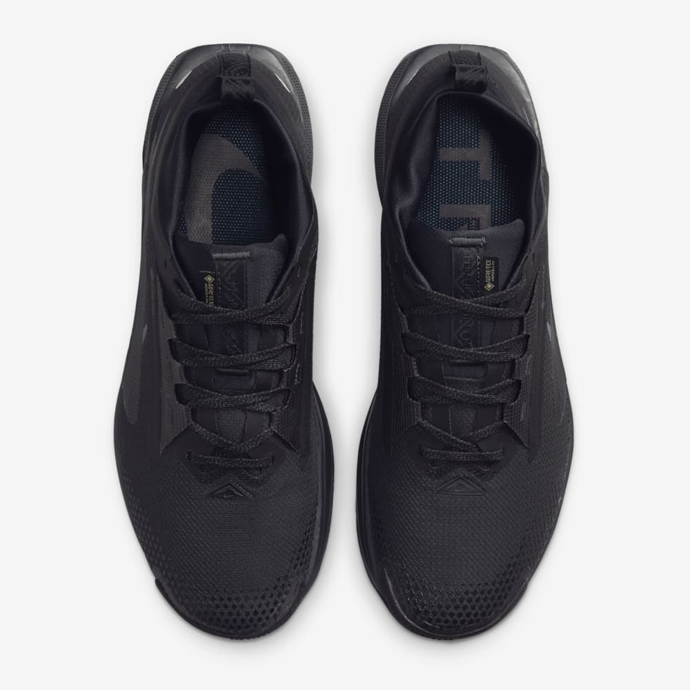 Giày Nike Pegasus Trail 5 GORE-TEX Nam - Đen - hình 5